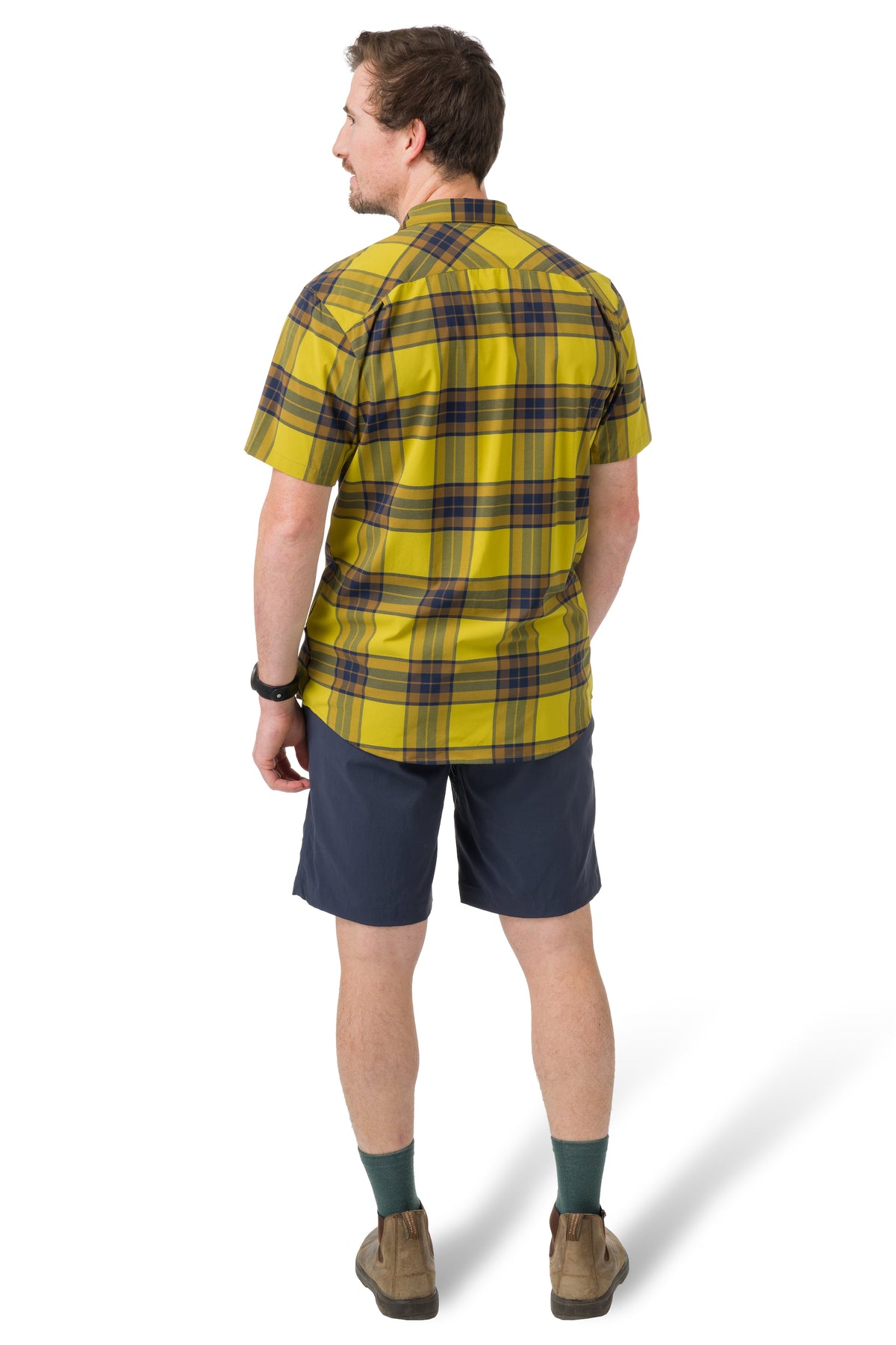 Olive/Rye Plaid