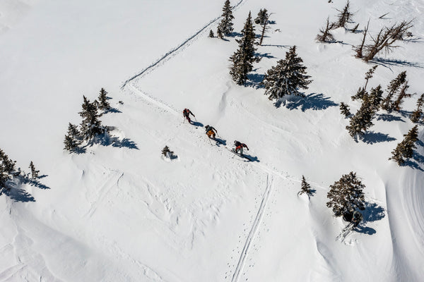 I Knew This Idea Had Staying Power