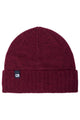 Forecaster Beanie