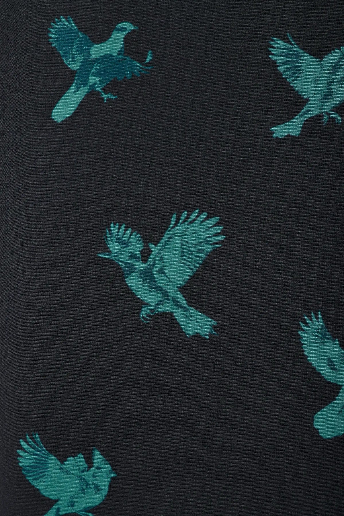 Night Flock