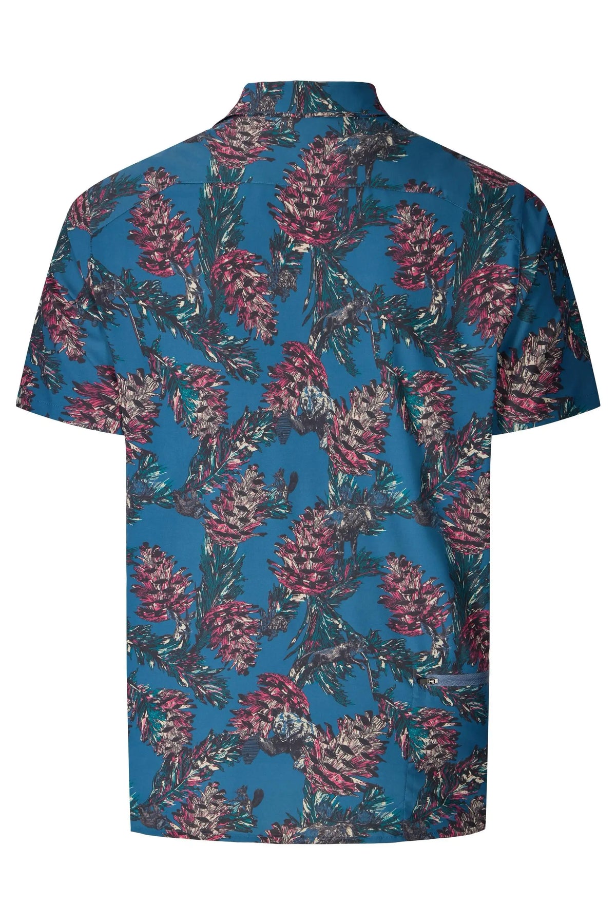 Ocean/Dragonfruit Pine Cone Party