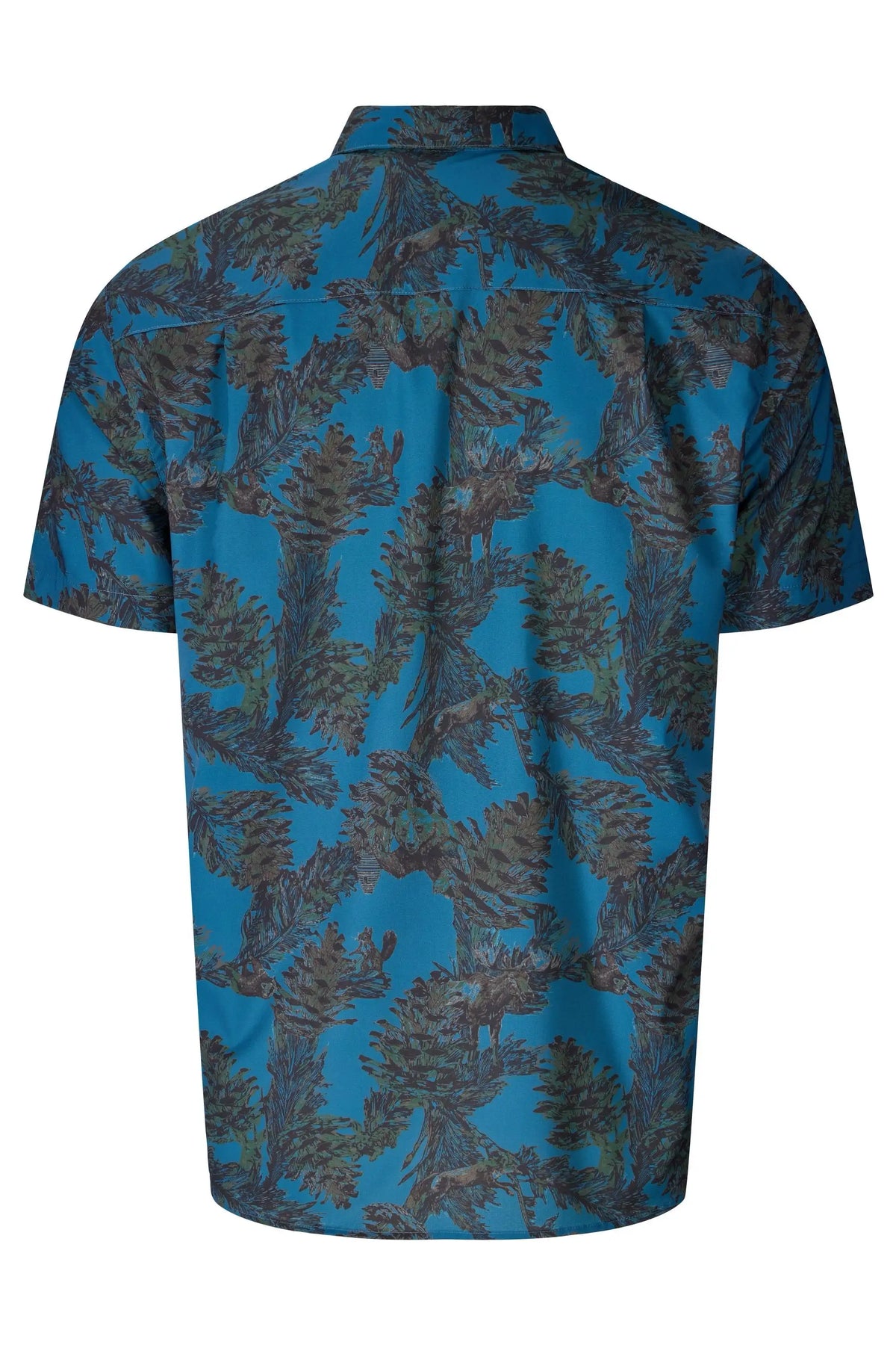 Ocean Pine Cone Party